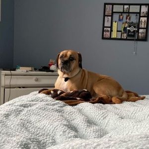 Meet your Posher, Olivia